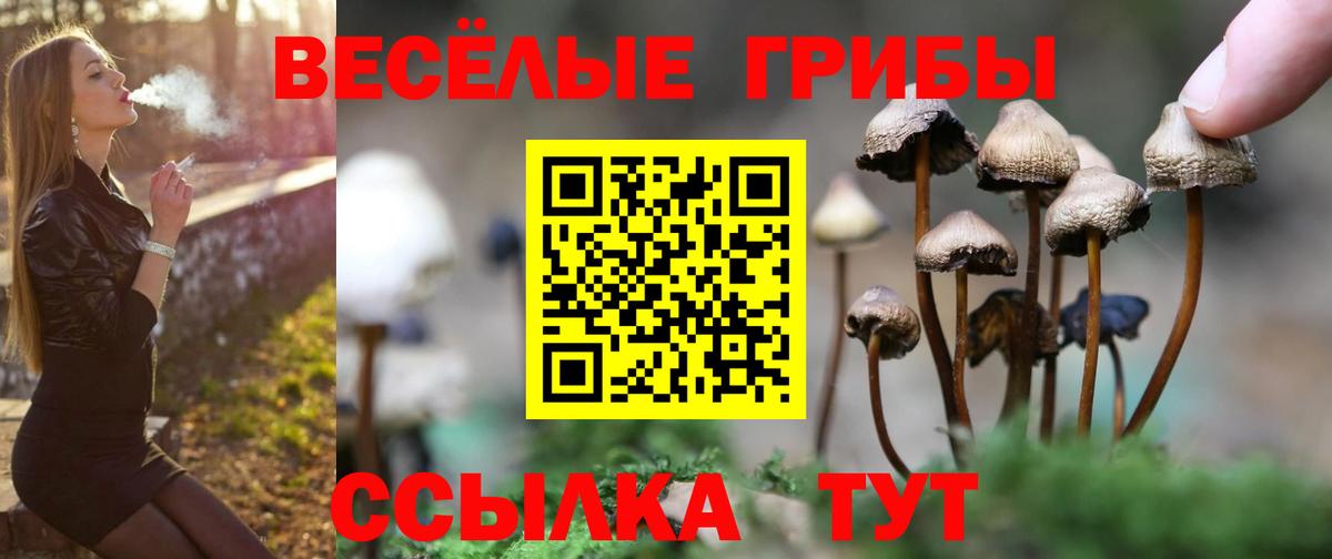 Псилоцибиновые грибы мухоморы  Псилоцибиновые грибы прущие грибы  Вход с VPN  Лениногорск 